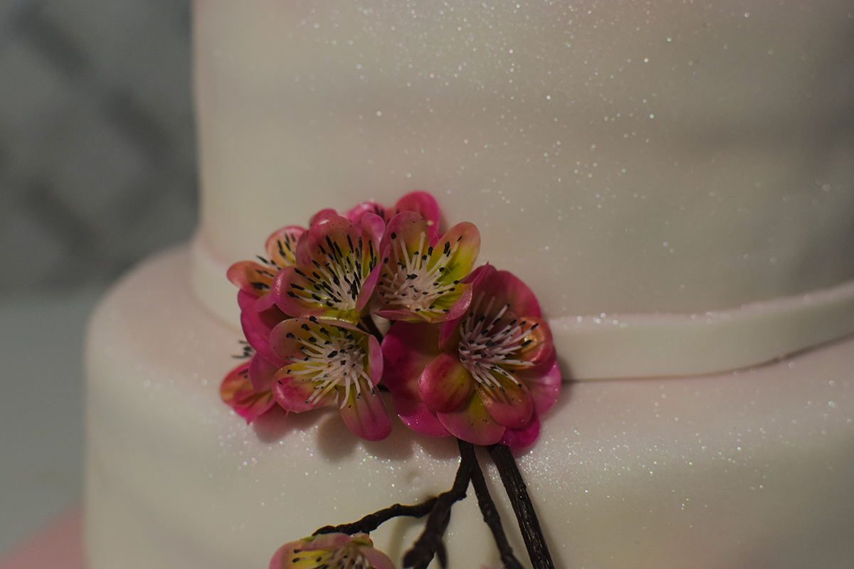 Fotografia de casamentos | Plumi Fotografia | Fotógrafo Porto | Gaia